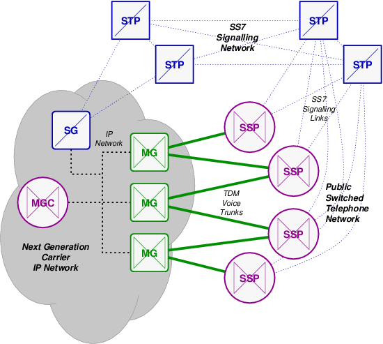 Network Architecture