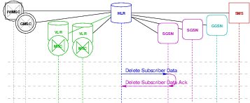 Transaction Flow — Delete Subscriber Data